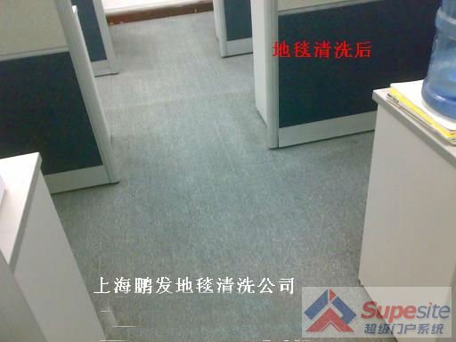 地毯清洗羊毛地毯清洗羊絨地毯清洗